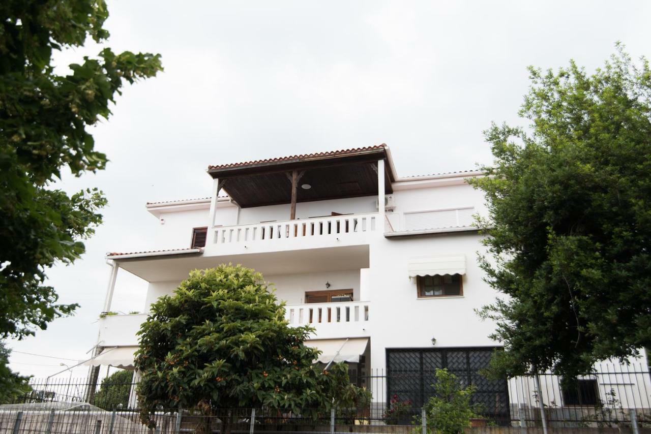 Bivas Nikolaos Villa Palaiontsiflikion Bagian luar foto